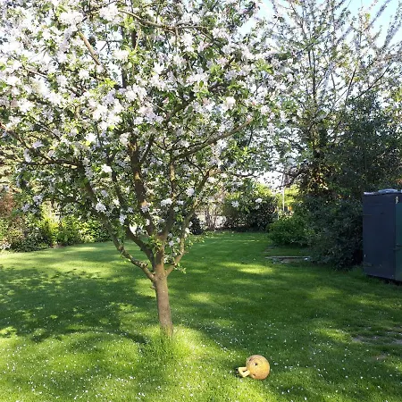 Apartment In Ruhiger Dorflage Naehe Bad Bevensen